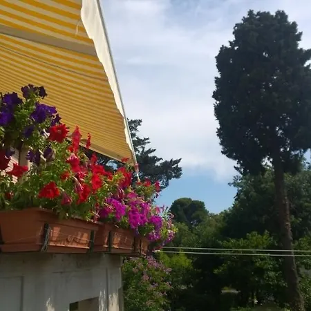 Apartment * Pula